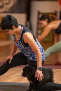 SAM05710 - AfroPuppyYoga