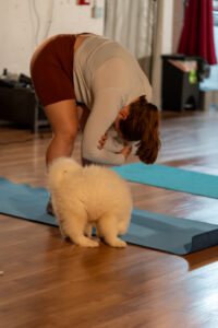 SAM06041 - AfroPuppyYoga