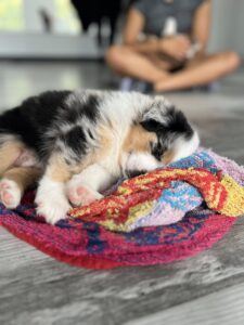 IMG 1790 1 - AfroPuppyYoga