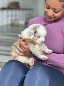 IMG 1804 1 - AfroPuppyYoga