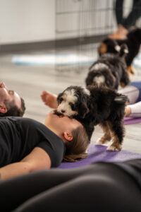 RHH02785 1 - AfroPuppyYoga