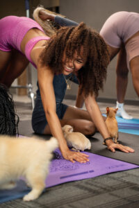 SAM01427 - AfroPuppyYoga