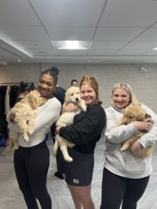 photo 2025 01 04 15 56 56 - AfroPuppyYoga