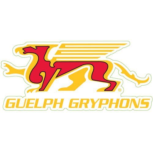 photo_2025-01-16_20-13-47